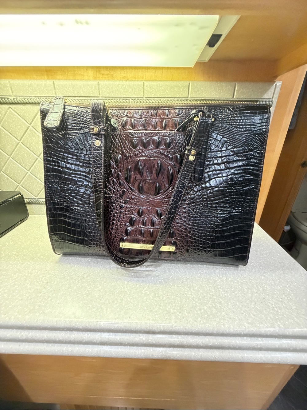 Brahmin Anywhere Tote in Cocoa